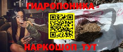 СК Кунгур