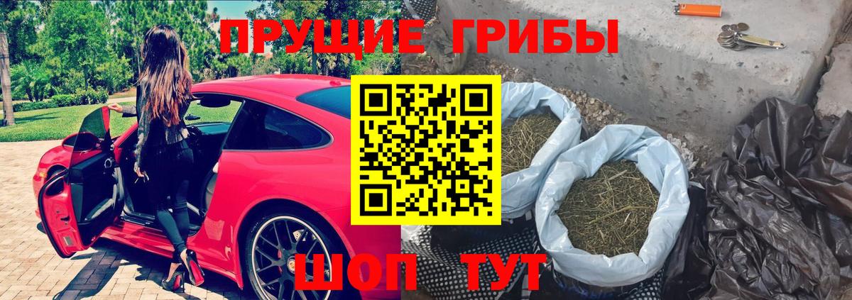 Кизилюрт  Псилоцибиновые грибы Cubensis  цены   Псилоцибиновые грибы мухоморы  Вход с VPN 